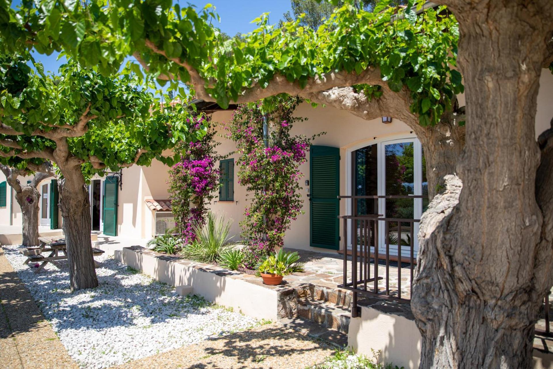 Domaine De La Navicelle Villa Le Pradet Exterior photo